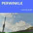 Yoyojulion
