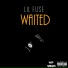 Lil Fuse