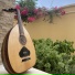 Nova Jazzers, Amer Ammouri, Munir Bachir