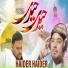 Ali Zaidi, Imam Haider