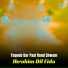 Ibrahim Dil Fida