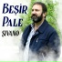 Beşir Pale