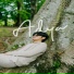 Adya