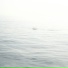 Desperation Island