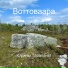Юрины тараканы