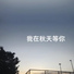 顾吴迪