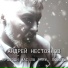 Андрей Нестоянов