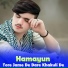 Hamayun