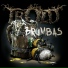 Trold