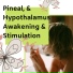 Healing Meditations