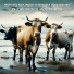thefricolix feat. Rana Arborea, Massiv in Mensch
