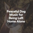 Dog Music Experience
