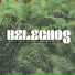 N. Saiko, Lechu, Raheem El-Shabazz