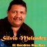 Silvio Meléndez