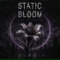 static bloom