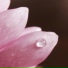 奚宇舀