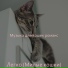 Музыка для кошек романс