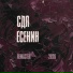 СДП