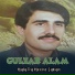 Gulzar Alam
