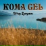 Koma Gel