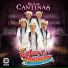 Grupo Balsas Musical