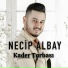 Necip Albay
