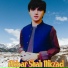 Akbar Shah Nikzad