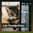 Cat Music