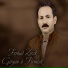 Ferhad Zîrek