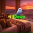 tillDawn