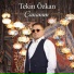 Tekin Özkan