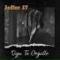 Jeffer 17