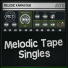 Melodic Karma Dub