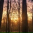 24-31