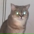 RAMERSE