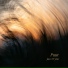 Jacco Wynia