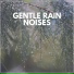 Calming Rainforest Sounds