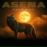 simsek music