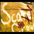 Scare Crows