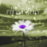 Blowlee feat. FLUMMERY