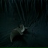 Jae Jun Yu