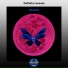 Dj Sergey Miller (spb)