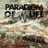 Paradigm Of Life