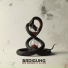 BRDIGUNG