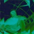 Клаус x RFT