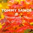 Tommy Sands