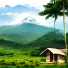 Newen