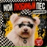 КИВИНИЕМИ
