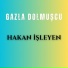 Hakan İşleyen