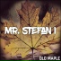 Mr. Stefan I
